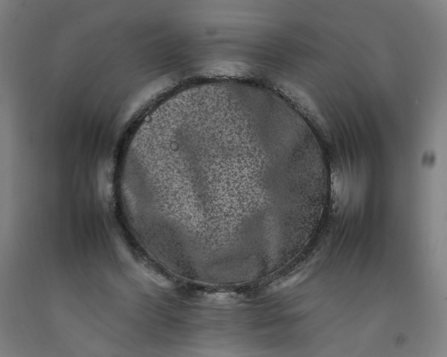 X0000092230396200709281108