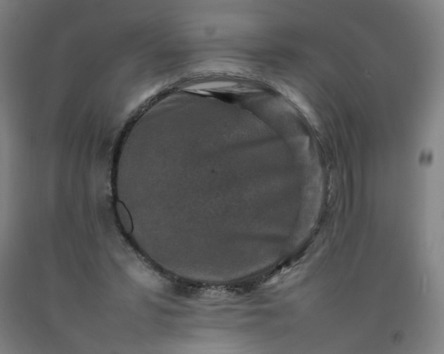 X0000092230399200709281108