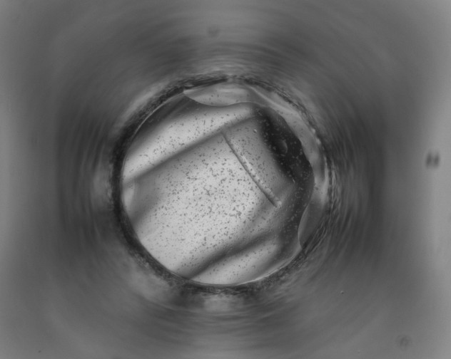 X0000092230400200709281108