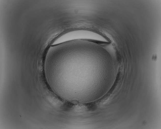 X0000092230403200709281108