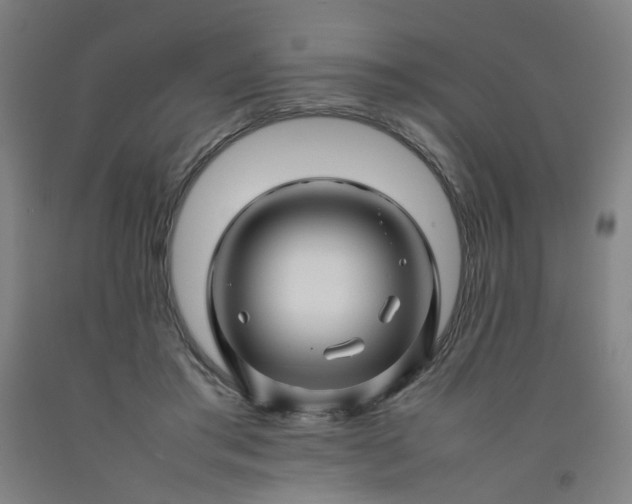 X0000092230405200709281108