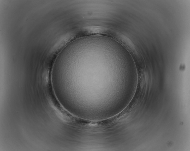 X0000092230406200709281108