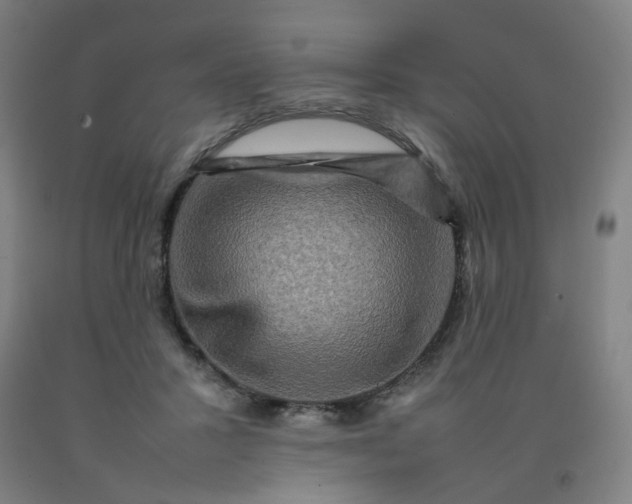 X0000092230407200709281108