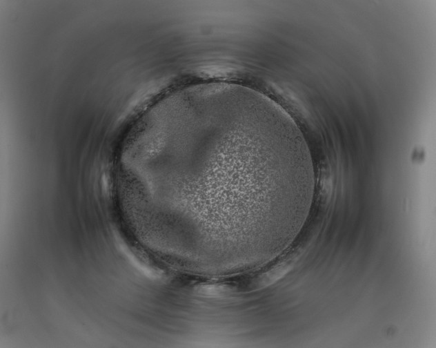 X0000092230408200709281108