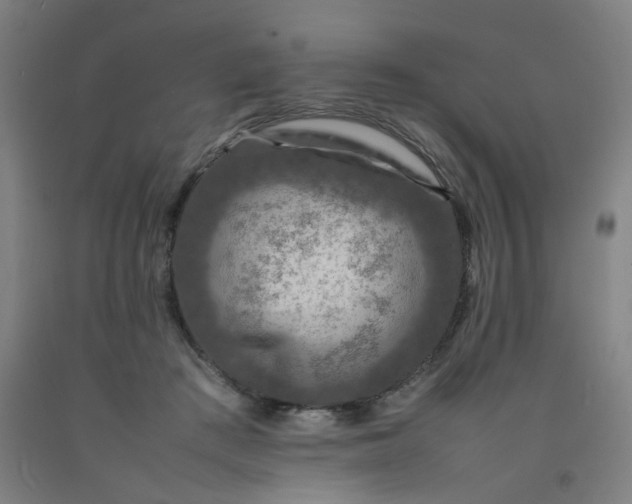 X0000092230409200709281108