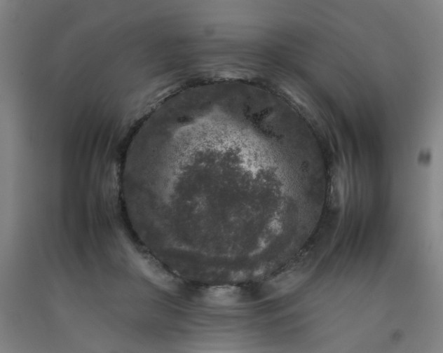 X0000092230410200709281108