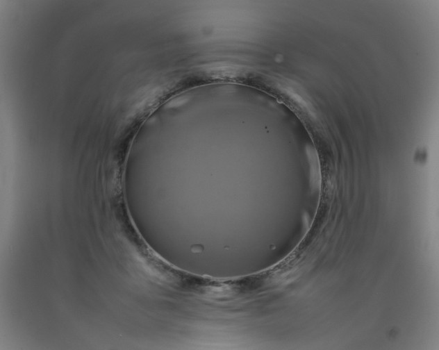 X0000092230411200709281108