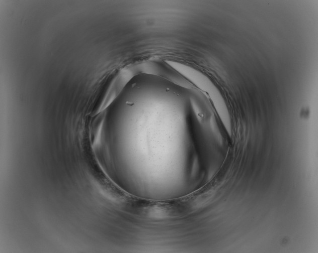 X0000092230412200709281108