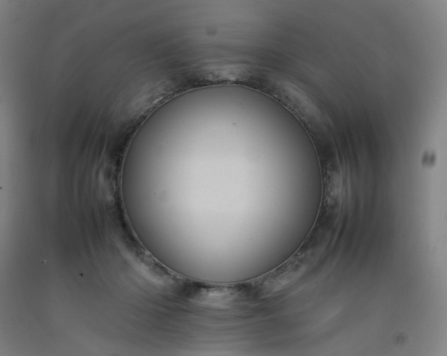 X0000092230414200709281108