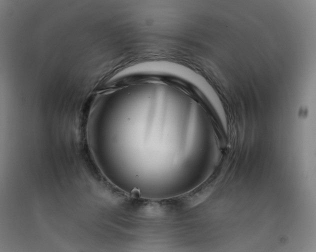 X0000092230416200709281108