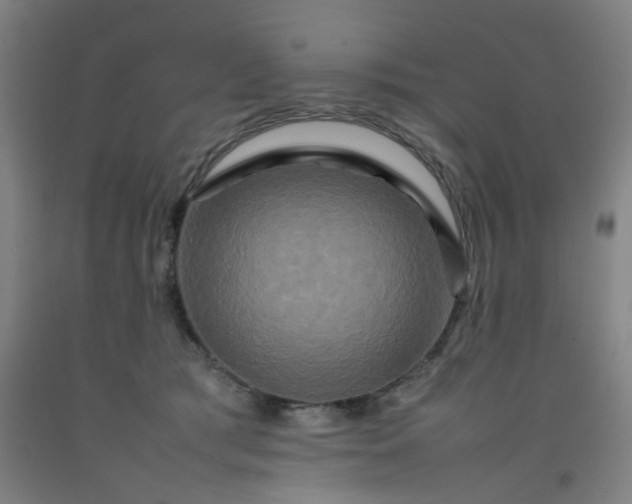 X0000092230417200709281108