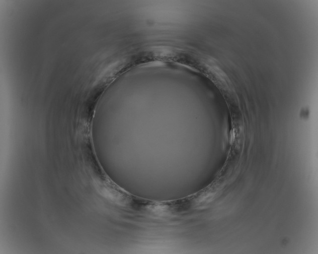 X0000092230419200709281108