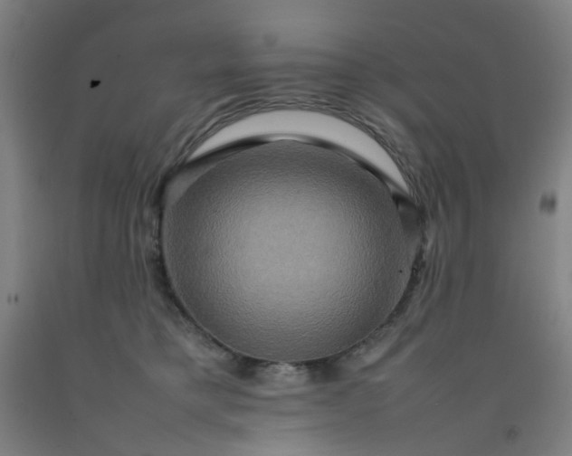 X0000092230421200709281108