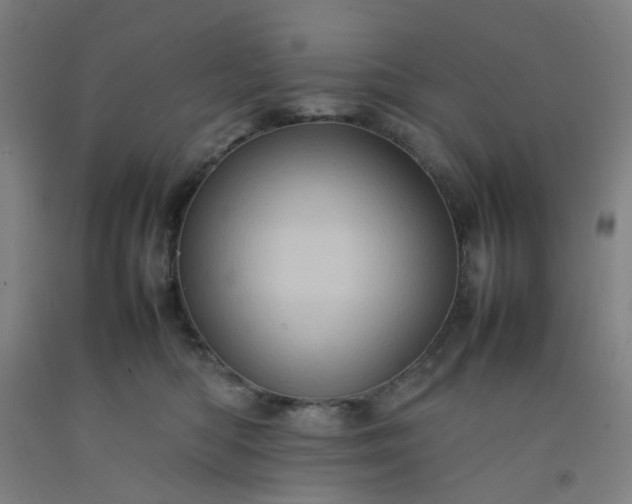 X0000092230422200709281108