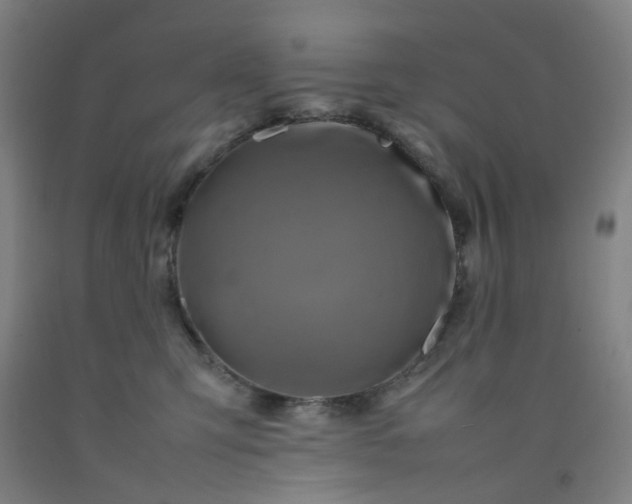 X0000092230423200709281108