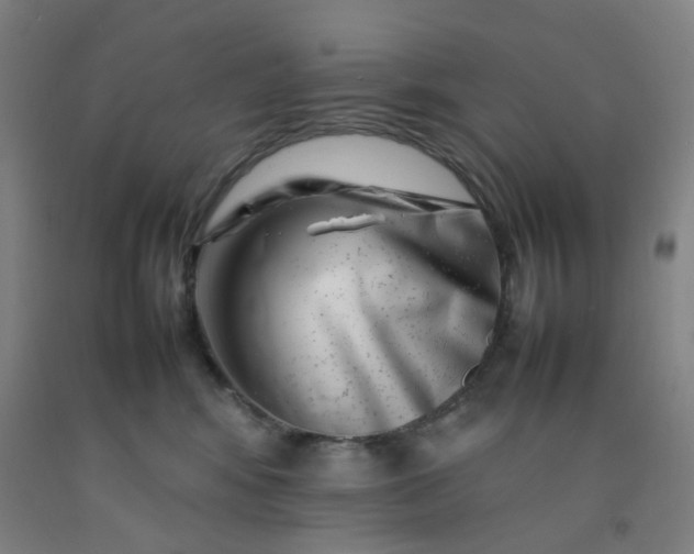 X0000092230424200709281108