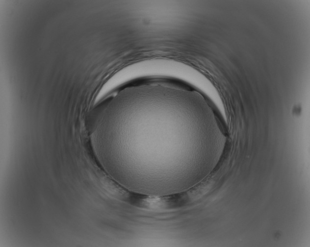 X0000092230425200709281108