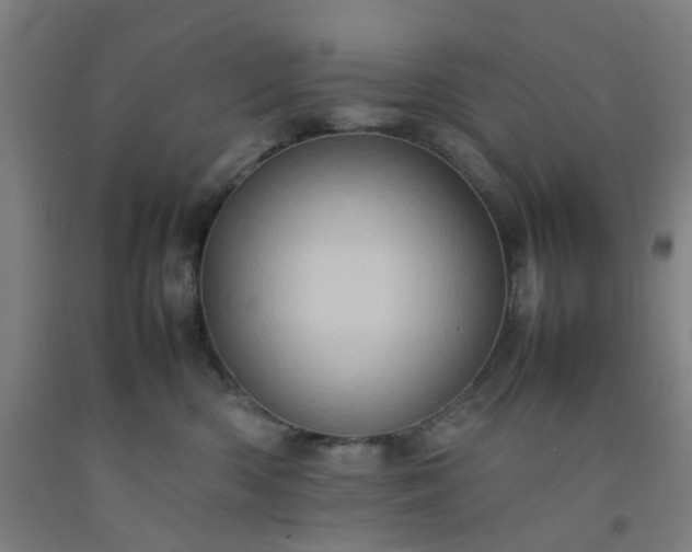 X0000092230426200709281108