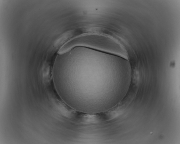 X0000092230428200709281108