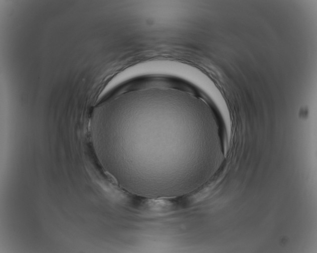 X0000092230429200709281108