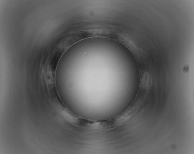 X0000092230430200709281108