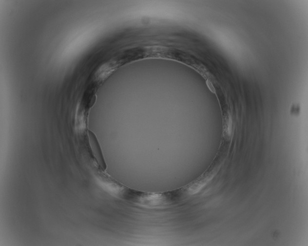 X0000092230431200709281108