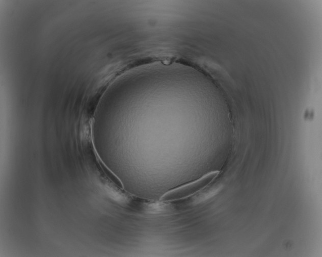 X0000092230432200709281108