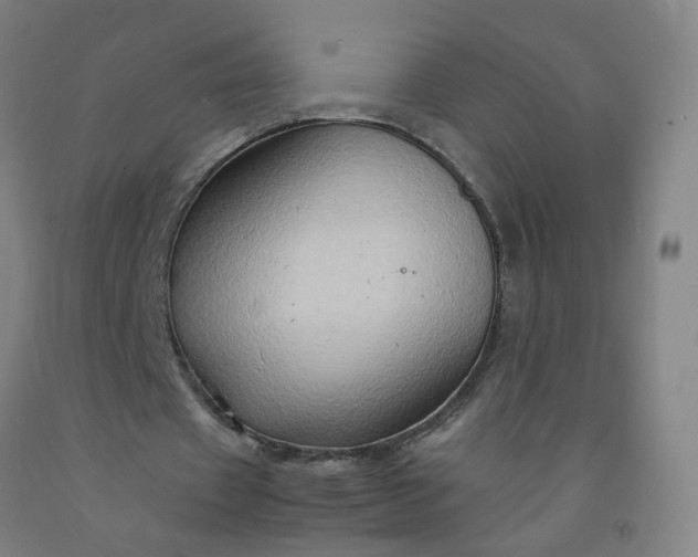 X0000092230433200709281107