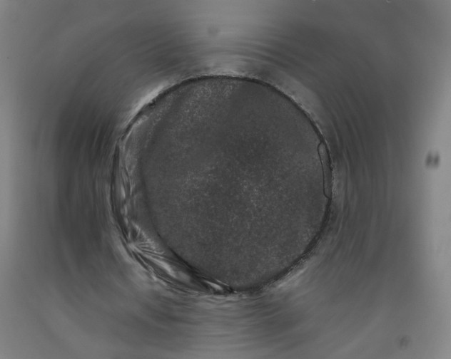 X0000092230434200709281107