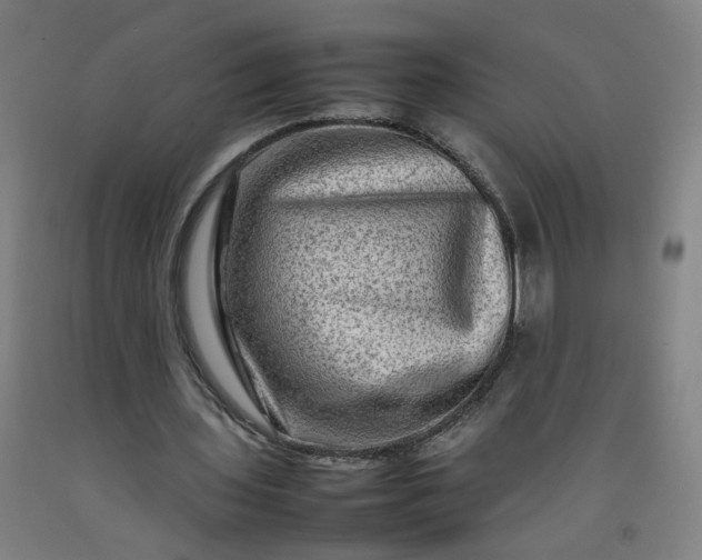 X0000092230435200709281107