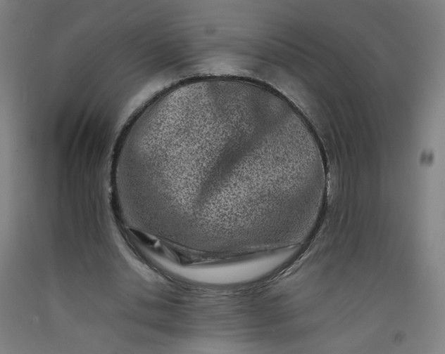 X0000092230438200709281107