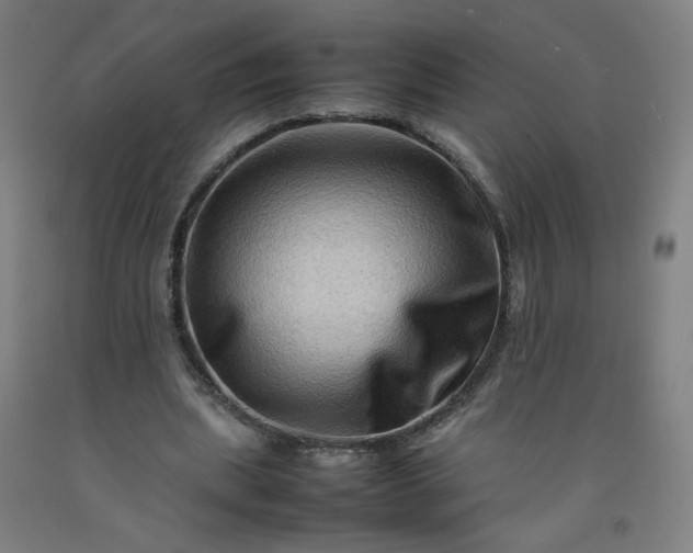 X0000092230439200709281107