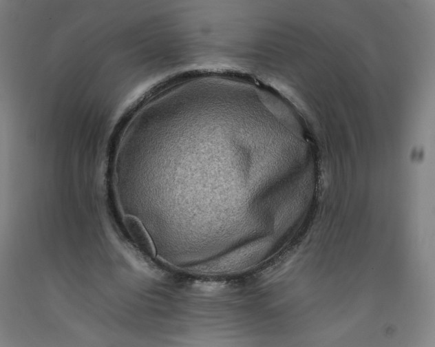 X0000092230440200709281107