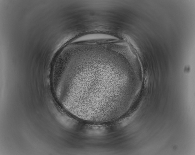 X0000092230443200709281107