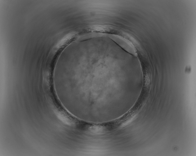 X0000092230444200709281107