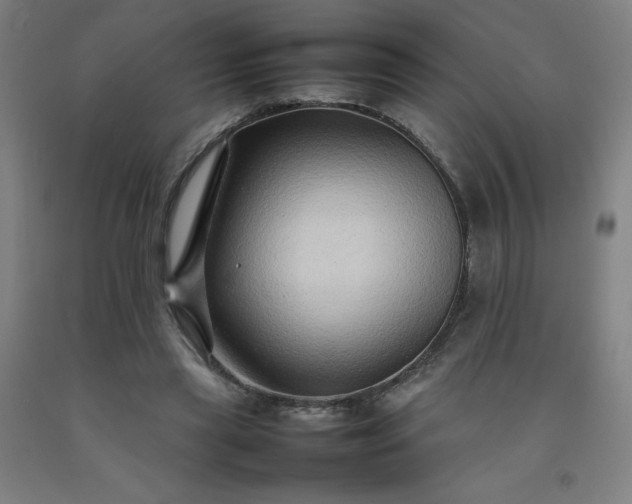 X0000092230445200709281107