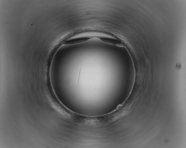 X0000092230446200709281107