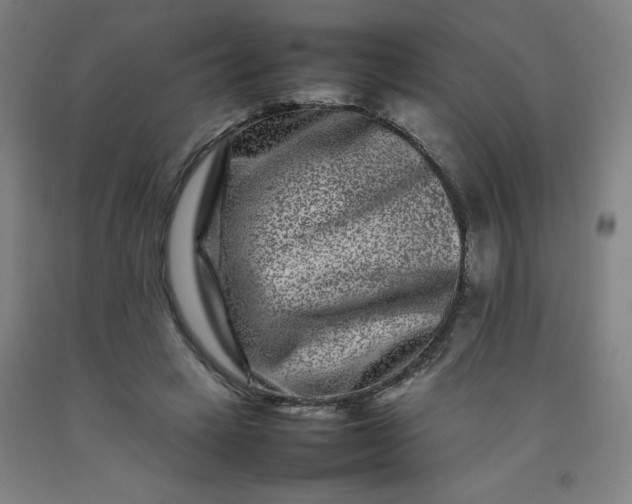 X0000092230449200709281107