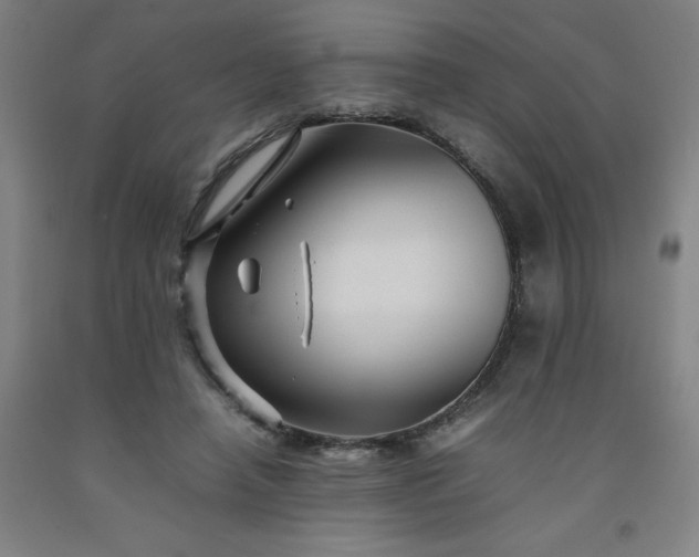 X0000092230450200709281107