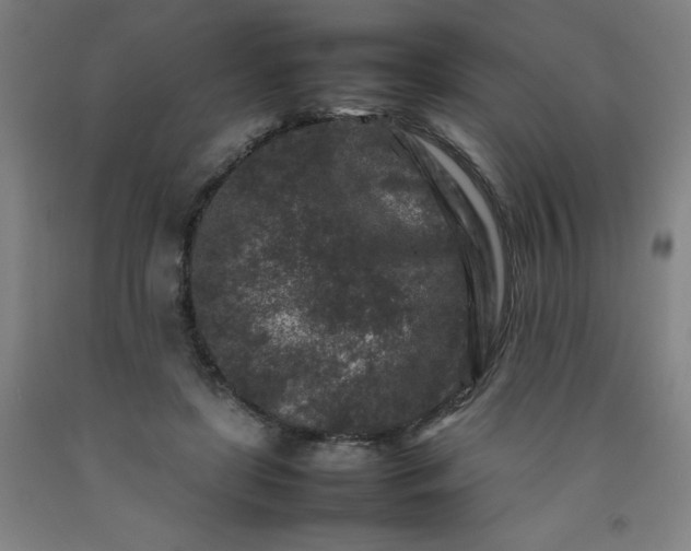 X0000092230451200709281107