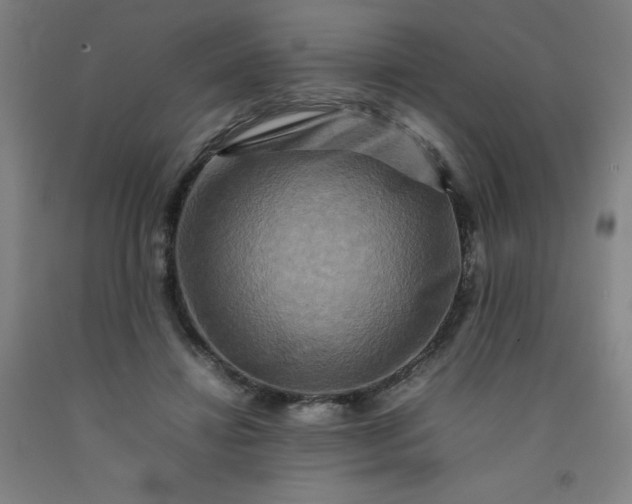 X0000092230452200709281107