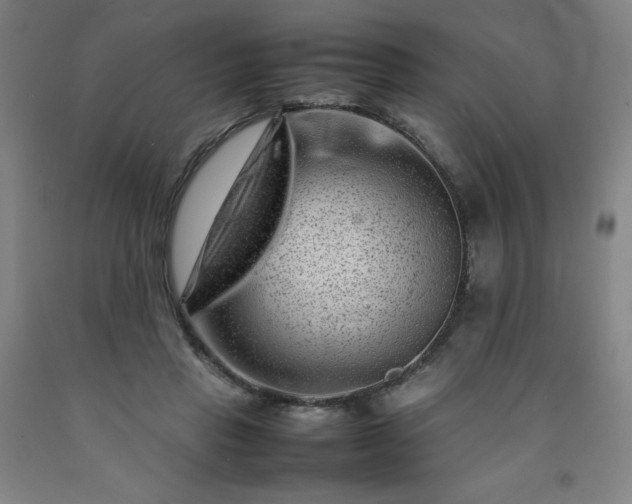 X0000092230453200709281107