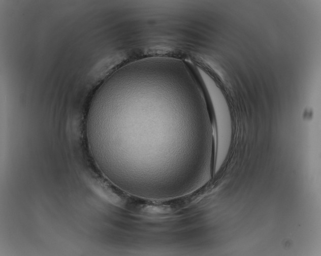 X0000092230455200709281107