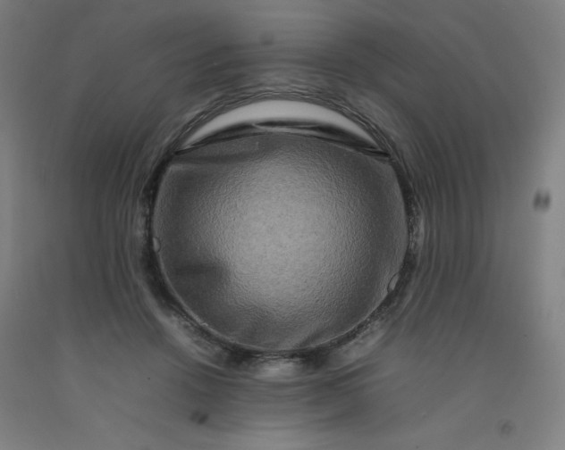 X0000092230456200709281107