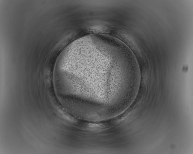 X0000092230457200709281107