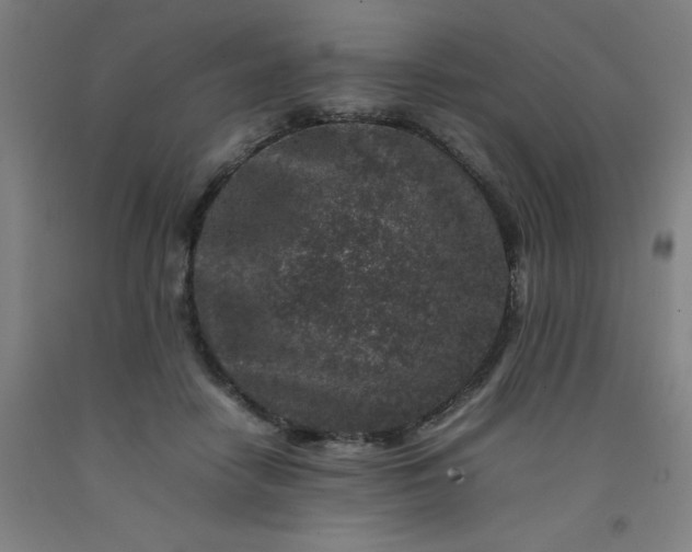 X0000092230458200709281107