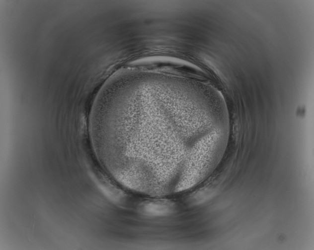 X0000092230459200709281107