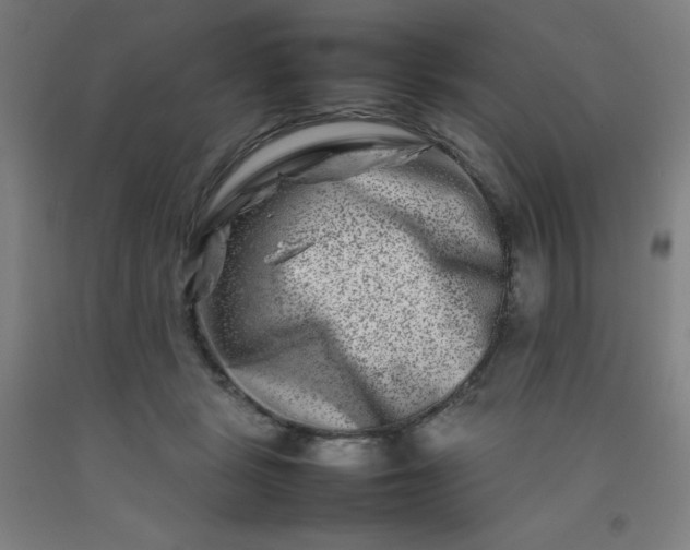 X0000092230461200709281107