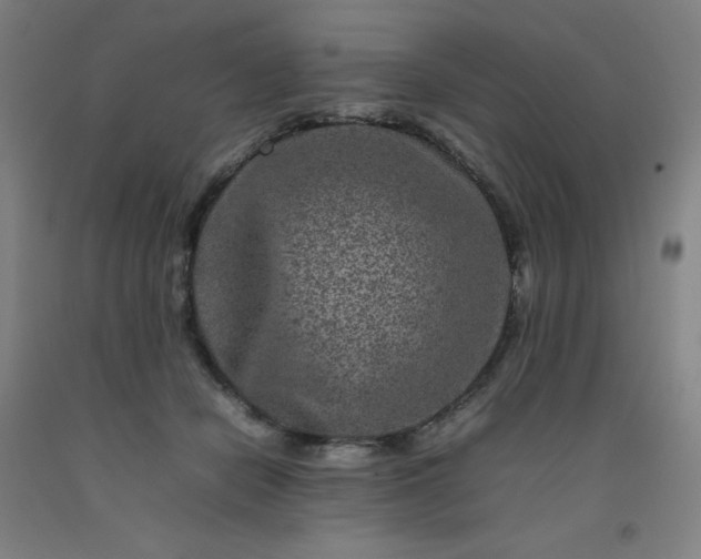 X0000092230462200709281107