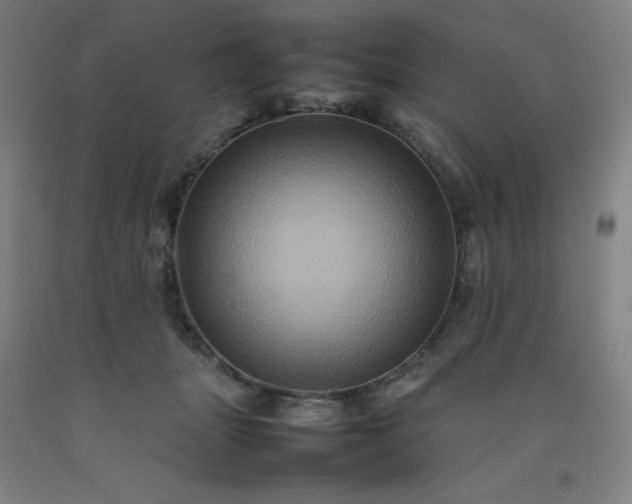 X0000092230463200709281107